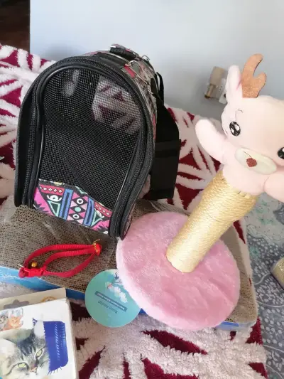 Set de accesorios para gatos con comedero y rascador - miniatura 2