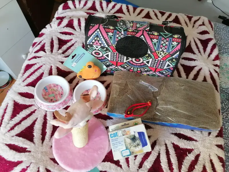 Set de accesorios para gatos con comedero y rascador - 3