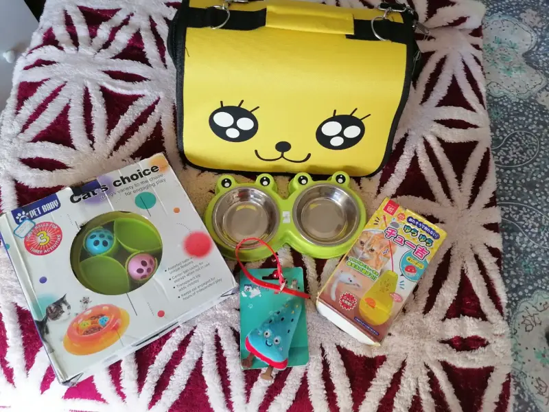 Set de accesorios para gatos con juguete interactivo y bolso transportador - 3