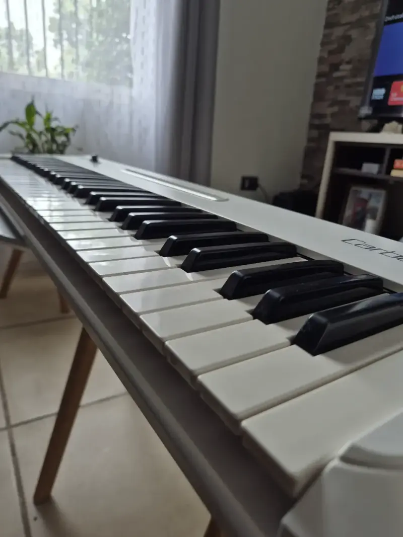 Teclado MIDI Samson Carbon 61 teclas - 2