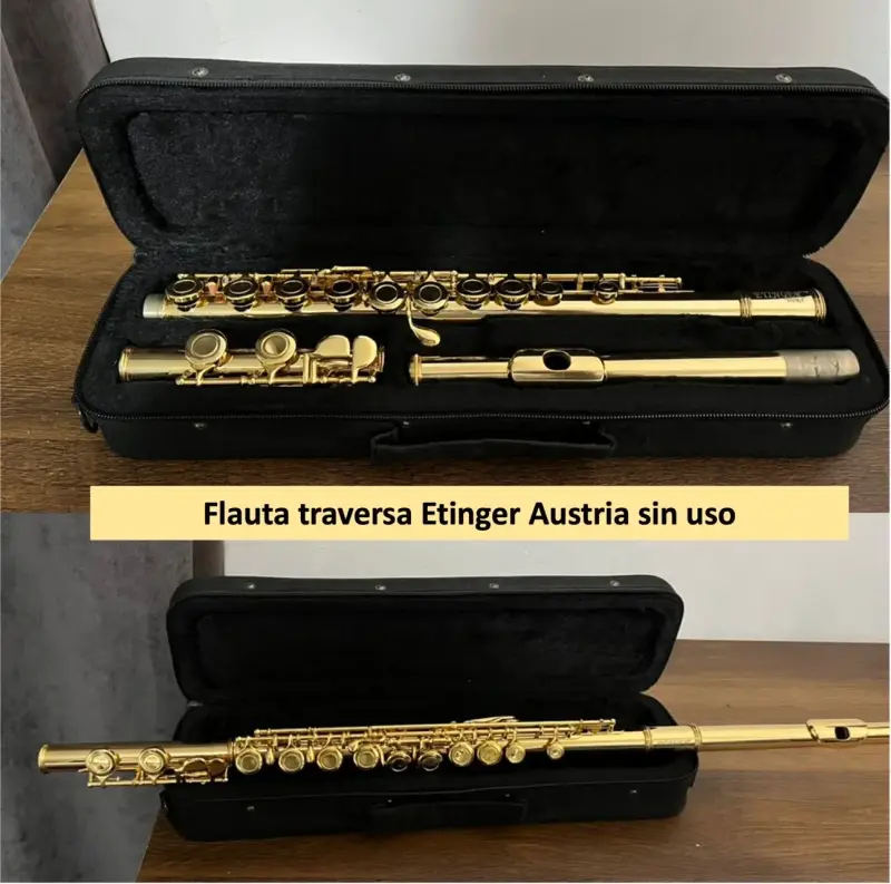 Flauta Traversa Etlinger Austria Dorada Sin Uso