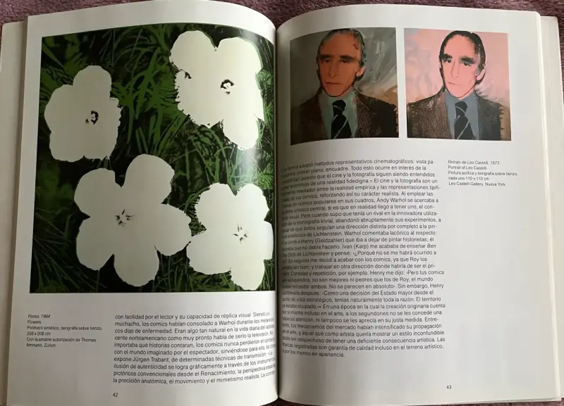 Libro de arte Andy Warhol con ilustraciones - 3