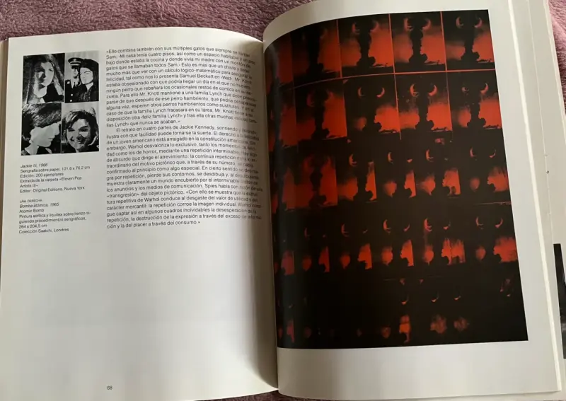 Libro de arte Andy Warhol con ilustraciones - 4