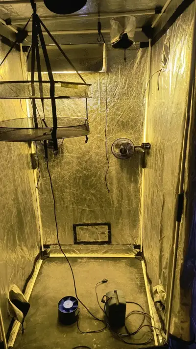 Carpa de Cultivo Interior con Ventiladores y Luz - miniatura 1