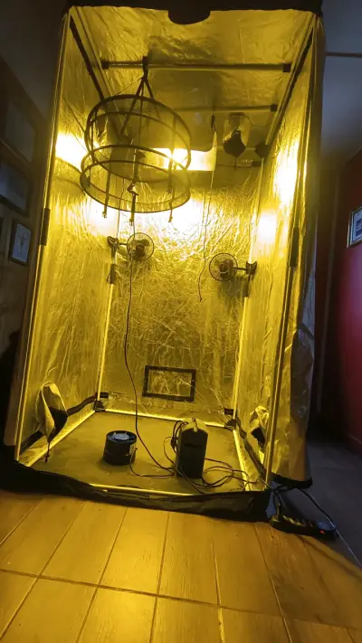 Carpa de Cultivo Interior con Ventiladores y Luz - miniatura 4