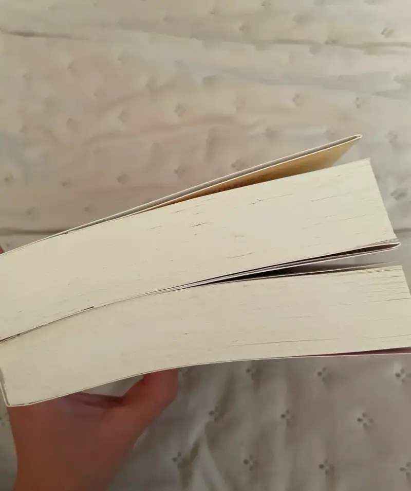 Pack de libros 'Attachments' y 'Landline' - 2