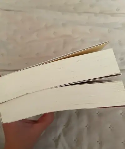 Pack de libros 'Attachments' y 'Landline' - miniatura 2