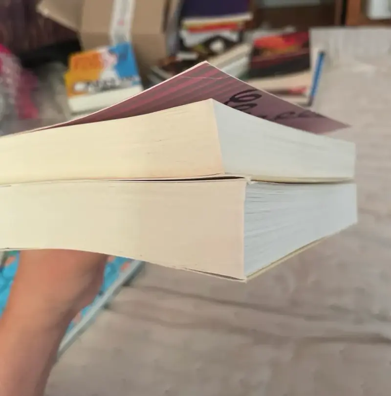 Pack de libros 'Attachments' y 'Landline' - 3