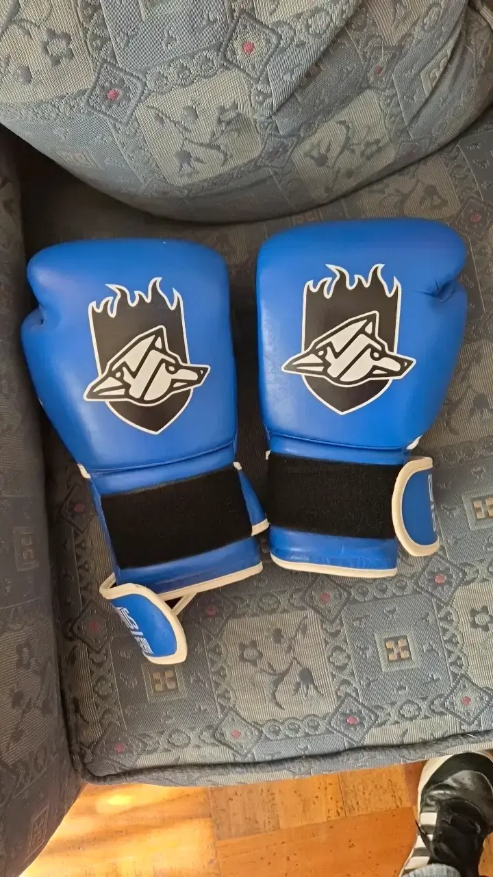 Guantes de Boxeo Gradivus de Cuero Azul 12oz - 5