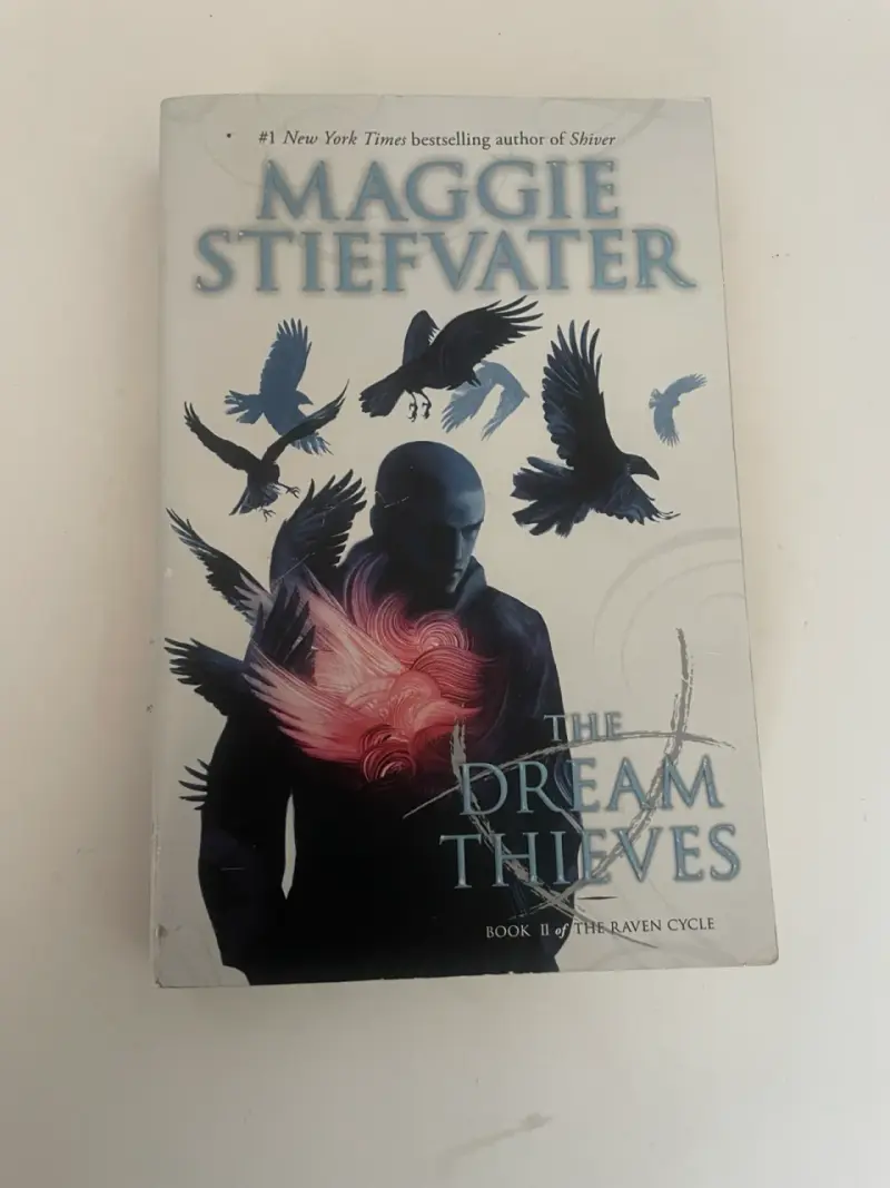 Libro 'The Dream Thieves' de Maggie Stiefvater
