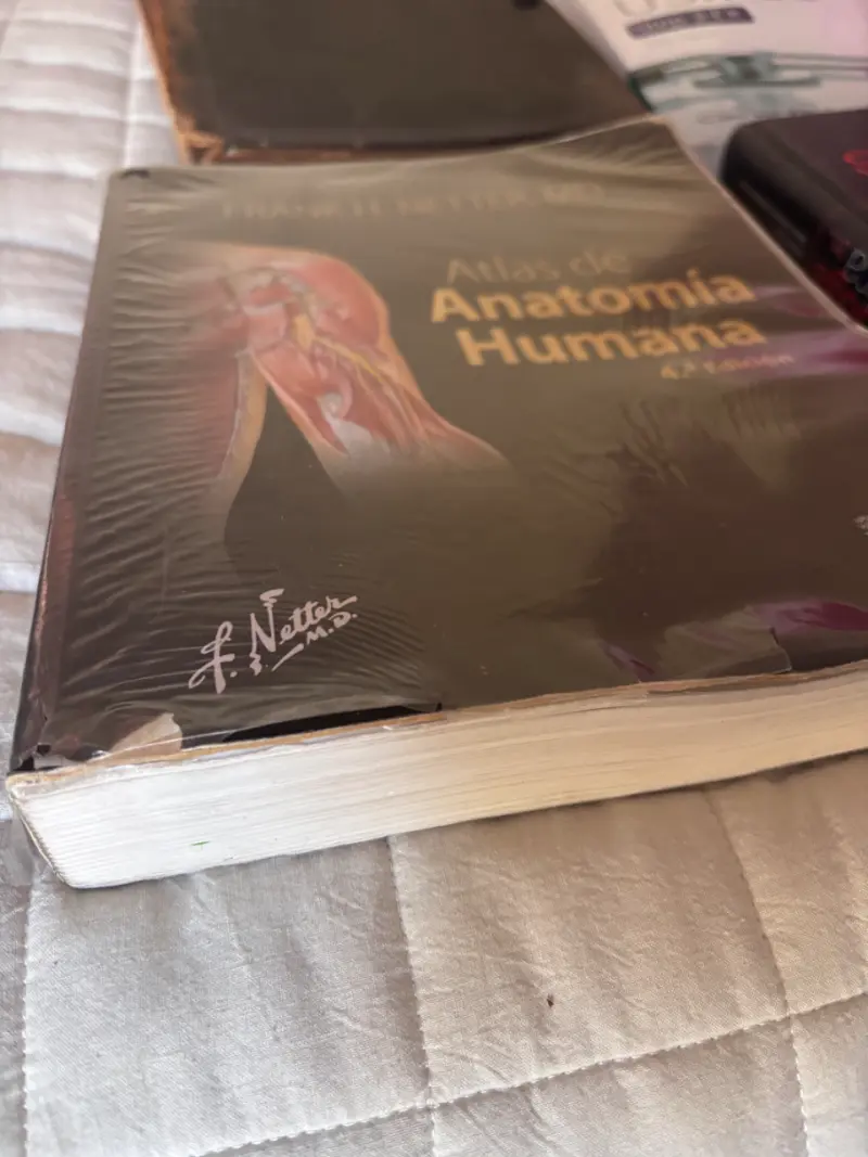 Atlas de Anatomía Humana 4ª Edición Frank H. Netter - 2