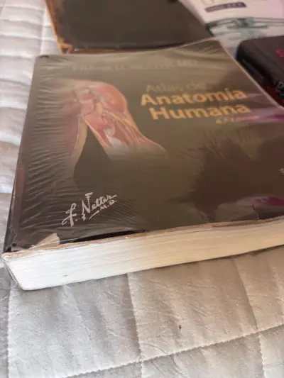Atlas de Anatomía Humana 4ª Edición Frank H. Netter - miniatura 2