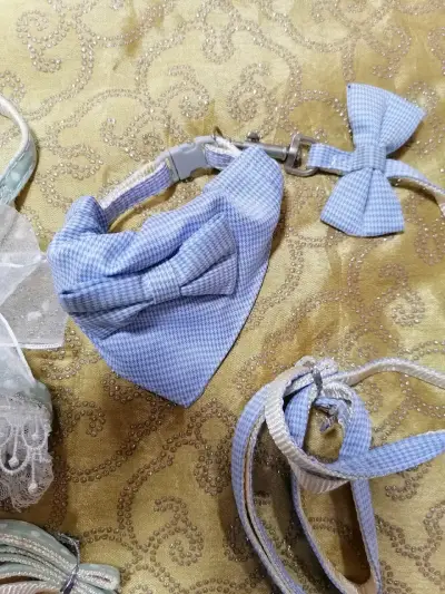 Arnés y correa para perro con diseño elegante - miniatura 3