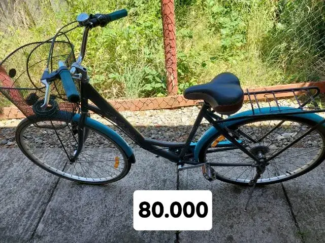 Bicicleta urbana con canasto y parrilla trasera - 3