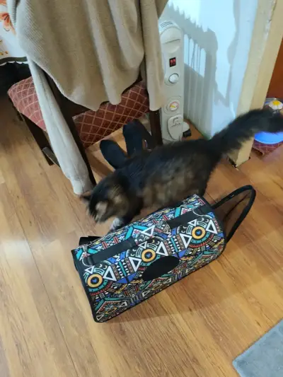 Bolso transportador para mascotas con diseño étnico - miniatura 1