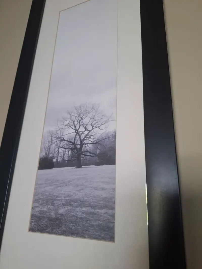 Cuadros Fotográficos en Blanco y Negro de Alan Blaustein - 2