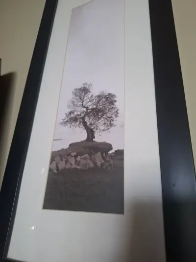 Cuadros Fotográficos en Blanco y Negro de Alan Blaustein - miniatura 3