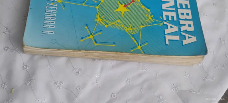 Libro Álgebra Lineal de Luis Zegarra A. - 2
