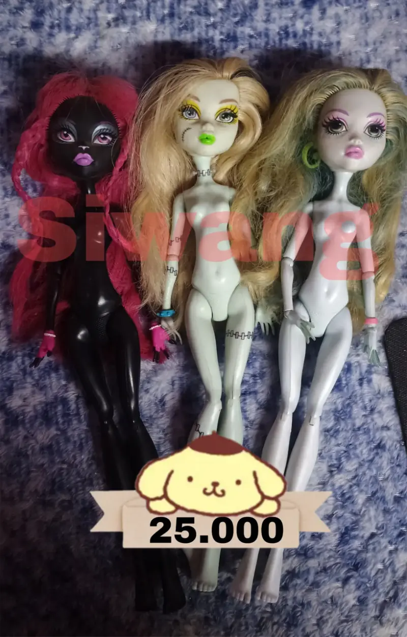 Vendo Monster high G1 - 3