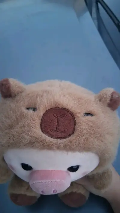 Peluche de cerdito marrón suave - miniatura 5