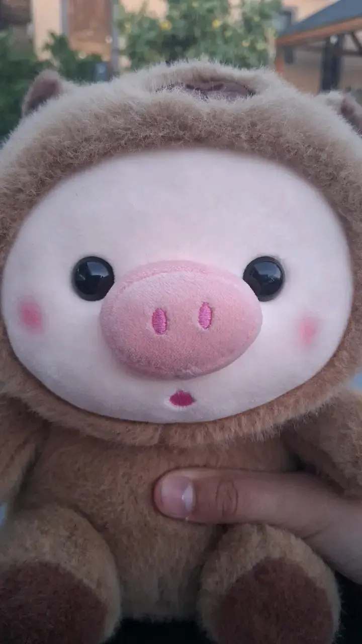 Peluche de cerdito marrón suave - 6