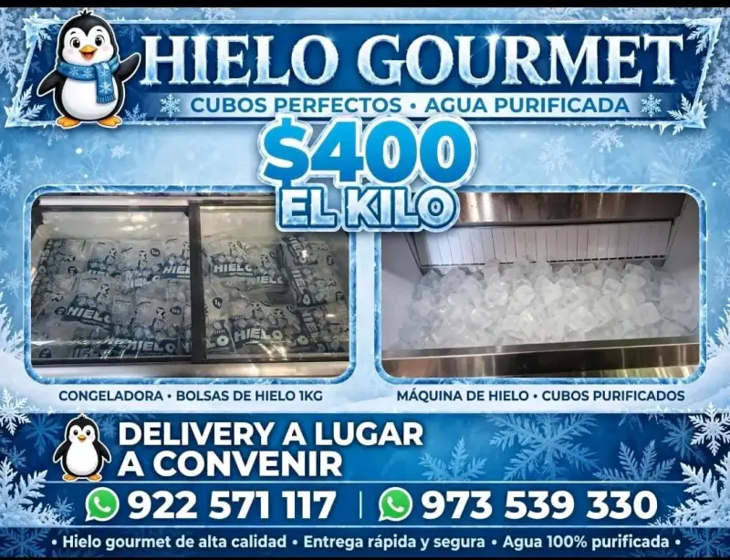 Hielo Gourmet en Cubos de Agua Purificada