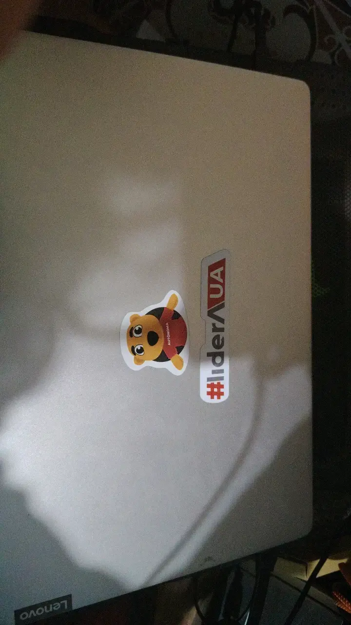 Laptop Lenovo Intel Core i5 8GB RAM 477GB - 2