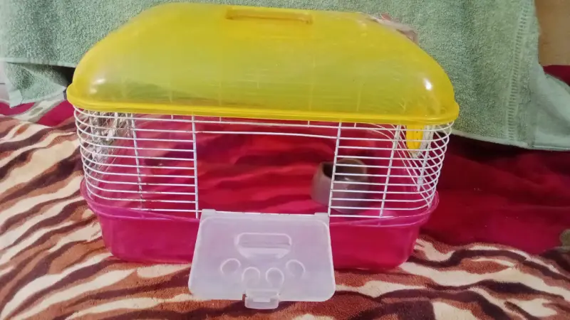 Jaulas para mascotas pequeñas con accesorios - 2