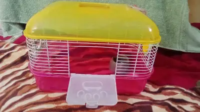 Jaulas para mascotas pequeñas con accesorios - miniatura 2