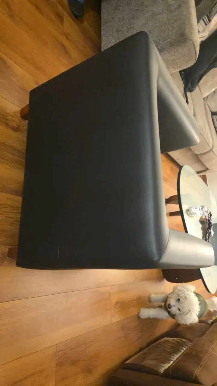 Sillón de cuero negro moderno - 4