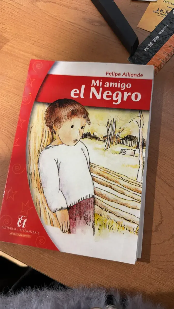 Libro Mi Amigo el Negro de Felipe Alliende - 1
