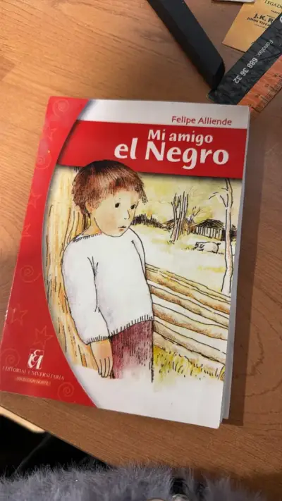 Libro Mi Amigo el Negro de Felipe Alliende - miniatura 1