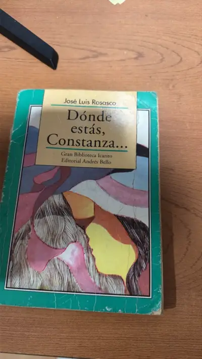 'Dónde estás, Constanza' de José Luis Rosasco - miniatura 1