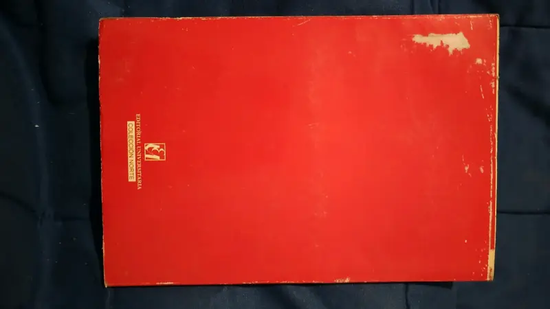 Libro Mi Amigo el Negro de Felipe Alliende - 2