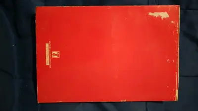 Libro Mi Amigo el Negro de Felipe Alliende - miniatura 2