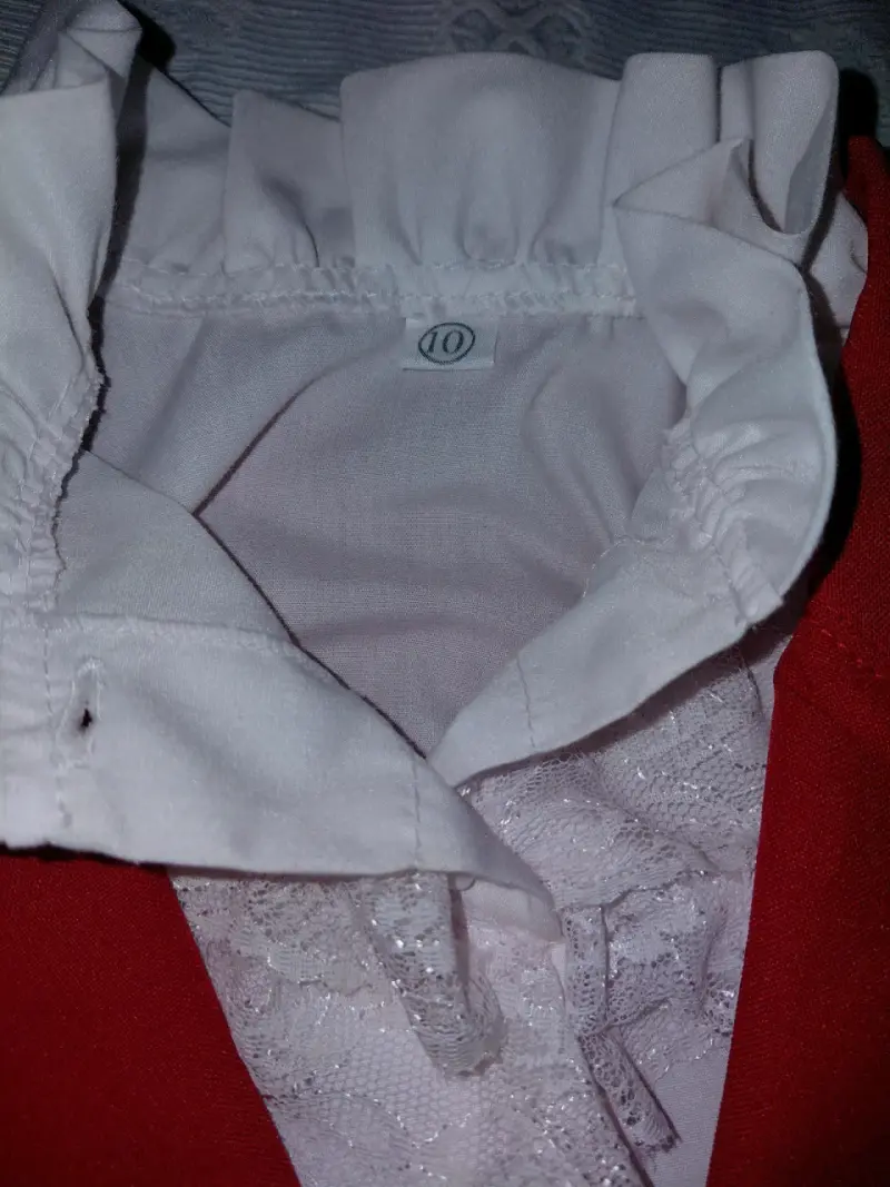 Traje típico chileno rojo con detalles - 2
