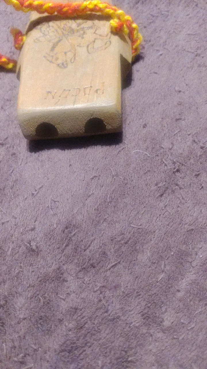 PIFILCA - 2