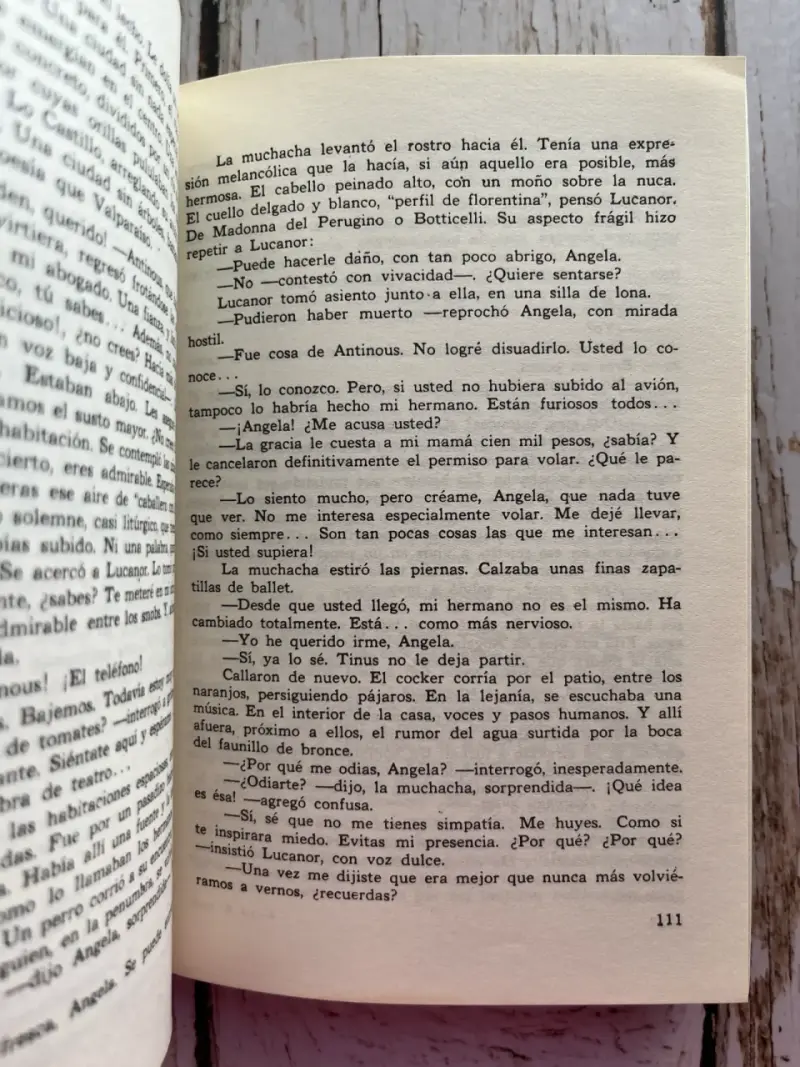 Libro 'Para Subir al Cielo' de Enrique Lafourcade - 6