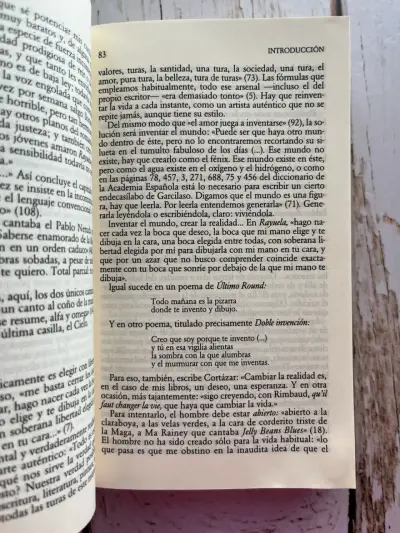 Libro Rayuela de Julio Cortázar Edición Cátedra - miniatura 6