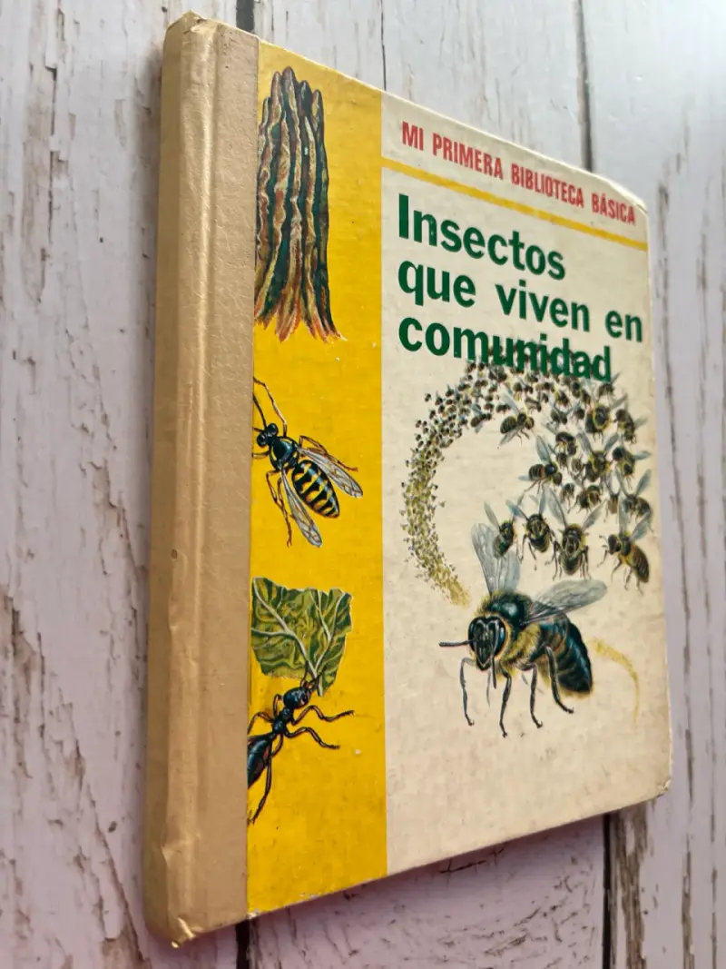 Insectos que viven en comunidad / editorial Molino - 2