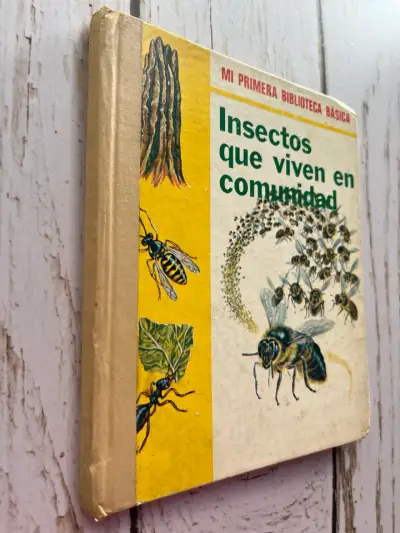 Insectos que viven en comunidad / editorial Molino - miniatura 2