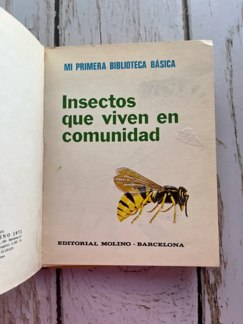 Insectos que viven en comunidad / editorial Molino - 5