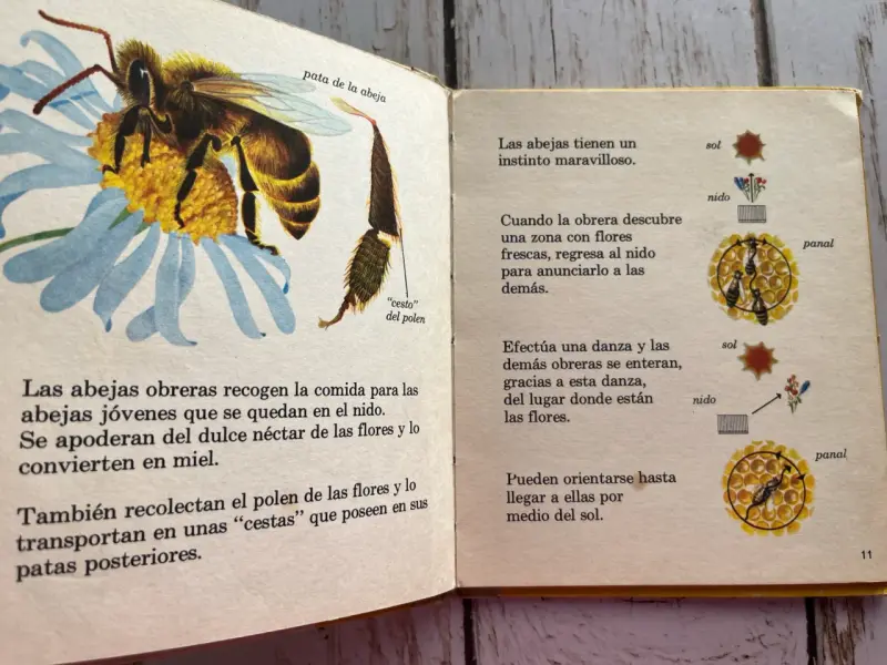 Insectos que viven en comunidad / editorial Molino - 6