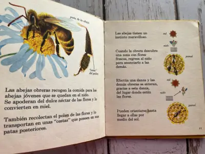 Insectos que viven en comunidad / editorial Molino - miniatura 6