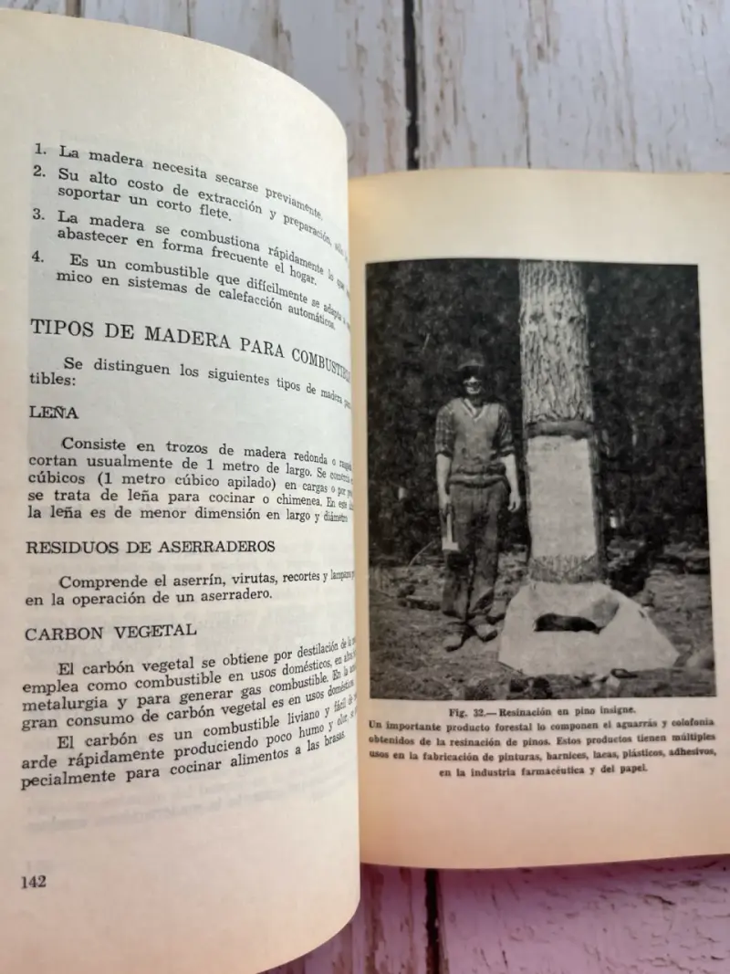 'Maderas' sobre propiedades y usos / Hernan Torres - 4