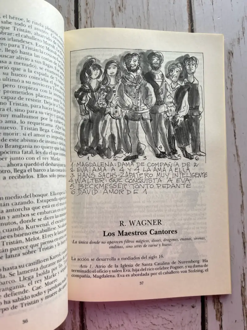 Opera para todo / Jorge Dahm - 6