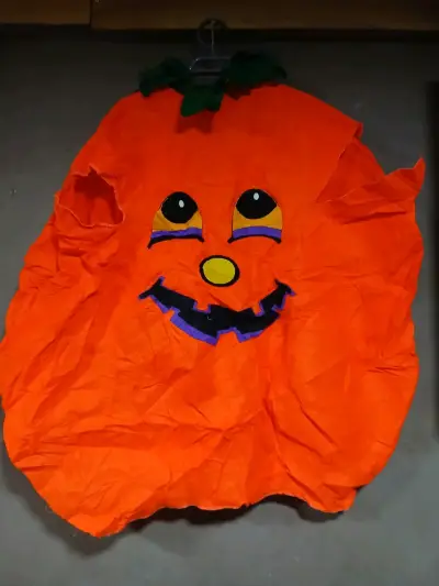Disfraz de calabaza para niños Halloween - miniatura 1