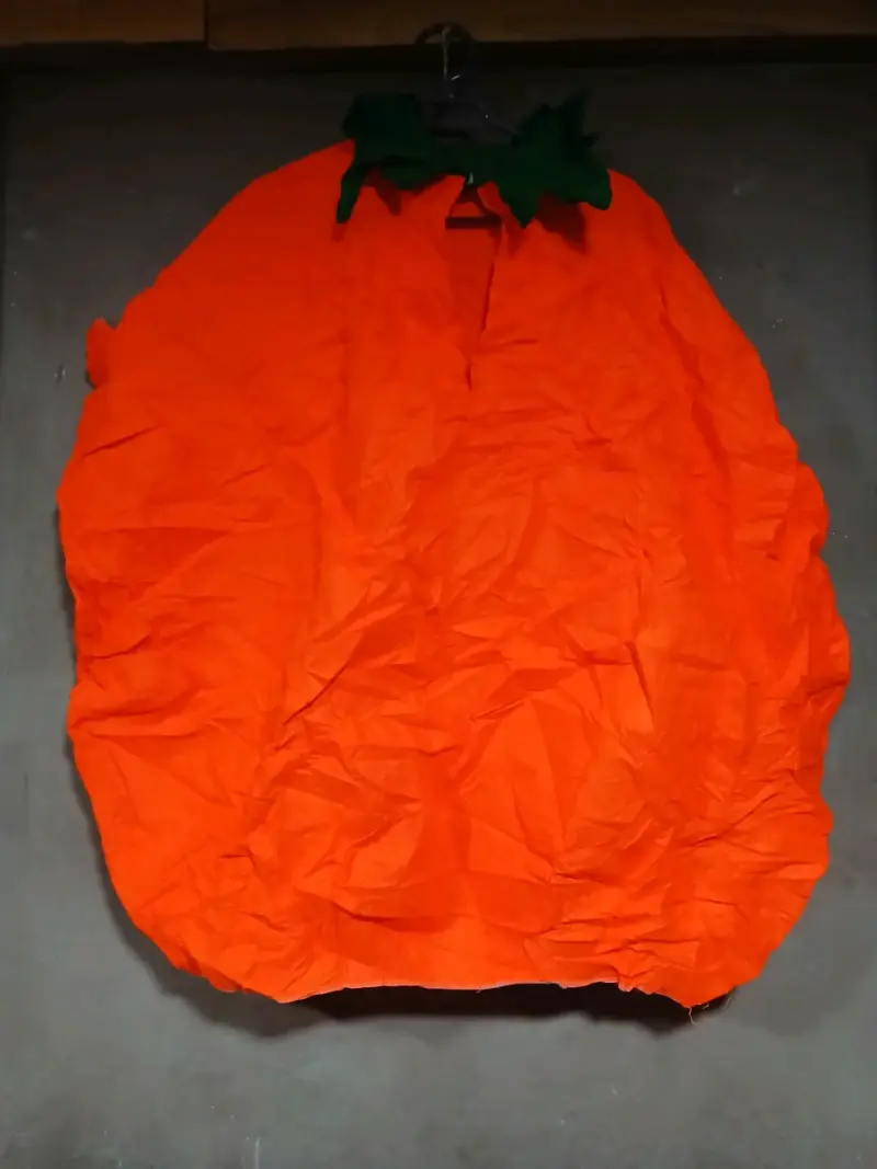 Disfraz de calabaza para niños Halloween - 2