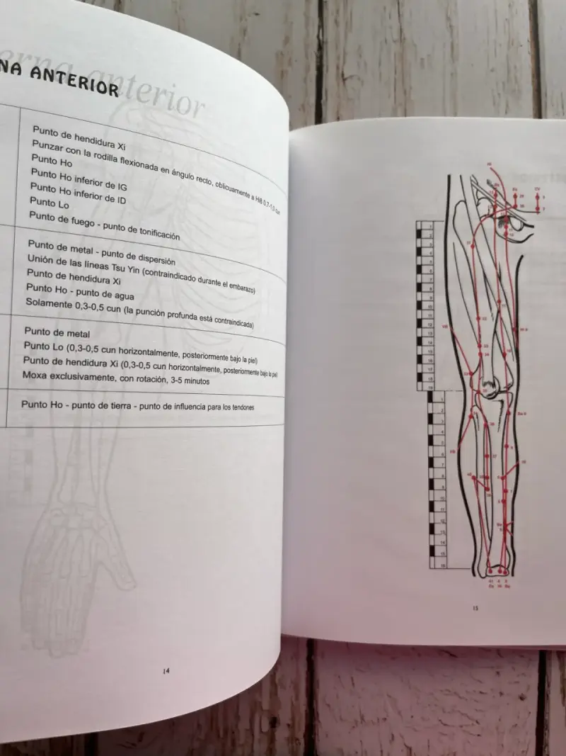 Atlas de Acupuntura de Royston Low - 5