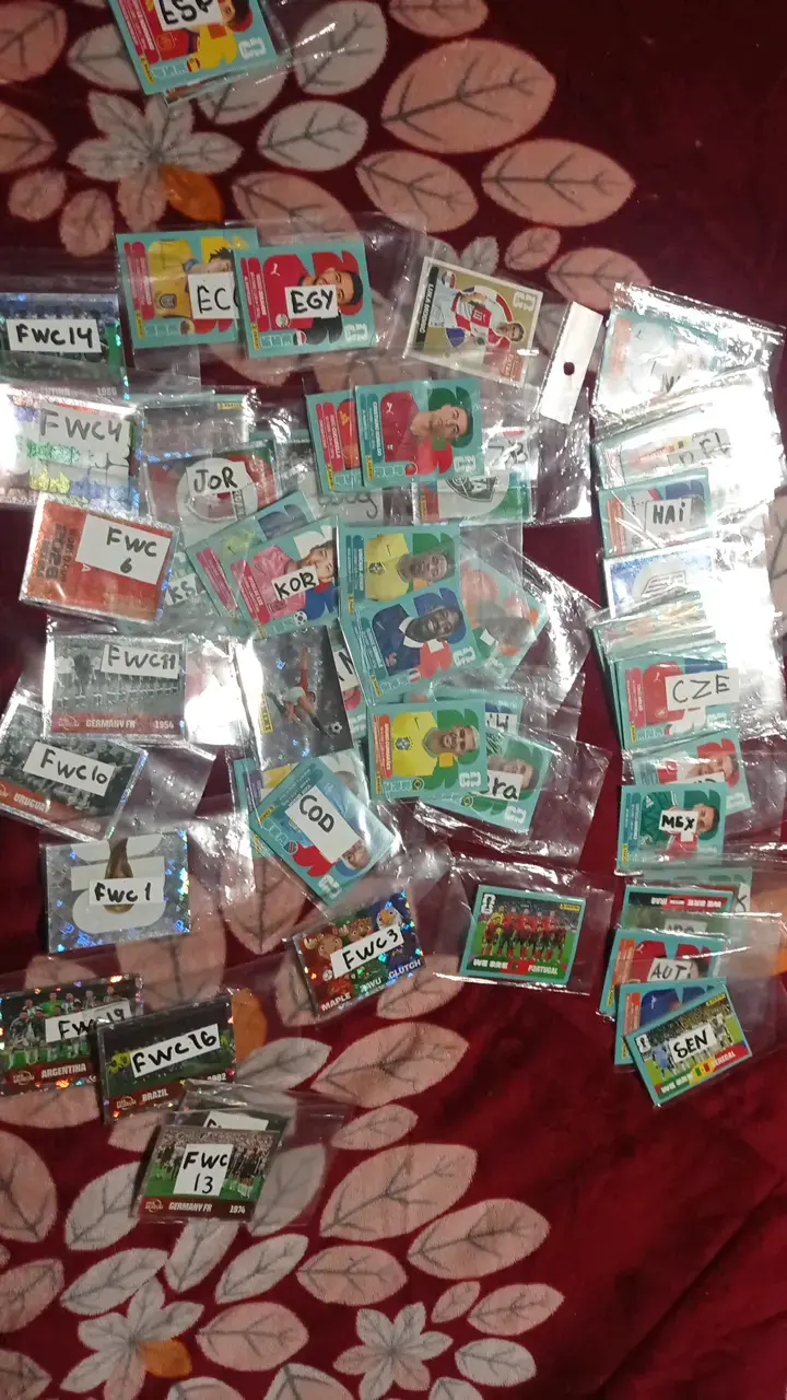 Colección de tarjetas de fútbol Panini - 1